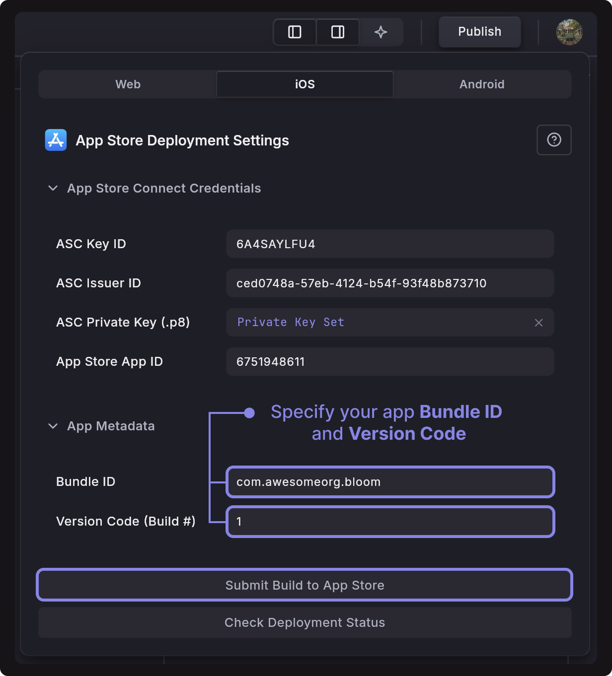 app-store-deployment.avif